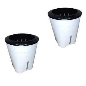 گلدان هیدروپونیک