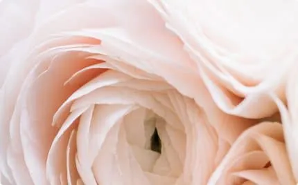عنوان پروژه