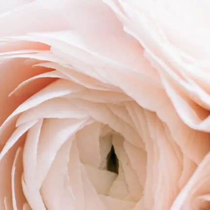 عنوان پروژه